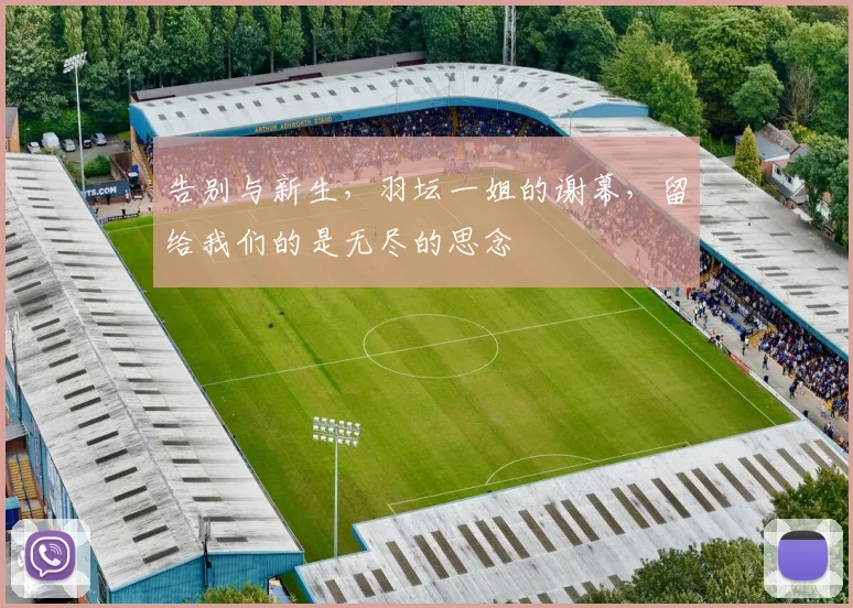告别与新生,羽坛一姐的谢幕,留给我们的是无尽的思念